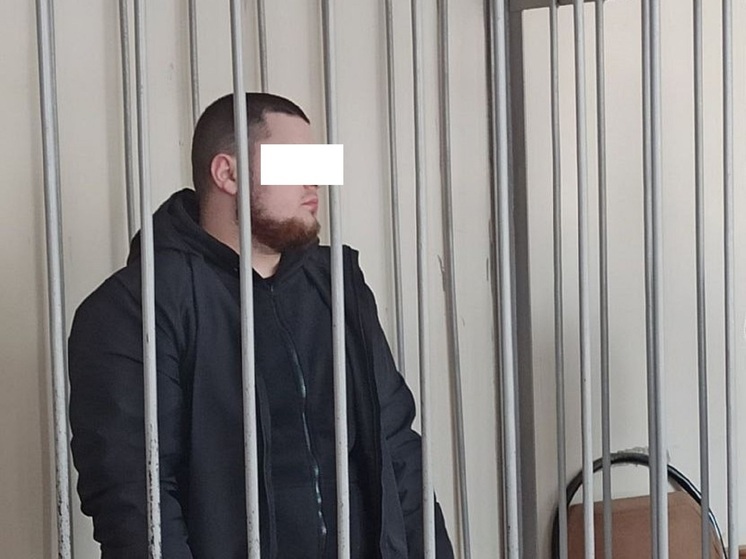В Каменске-Уральском отправили под стражу обвиняемого в похищении