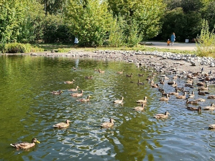 В Екатеринбурге закроют на весеннюю просушку дендрарий на Первомайской