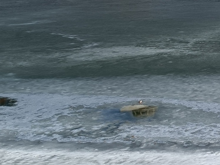 На реке Тобол в Кургане образовался ледяной затор