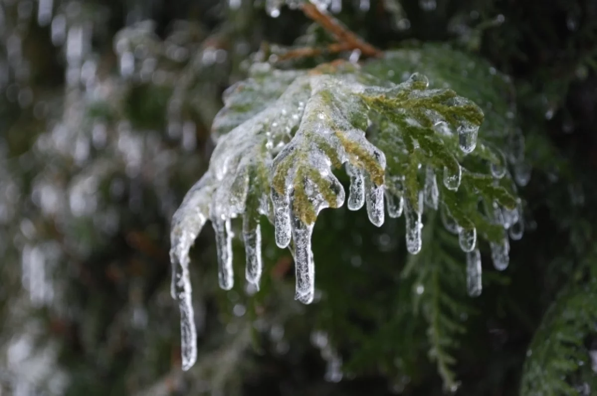 Яркое апрельское солнце Свердловской области сменит ледяной дождь-0