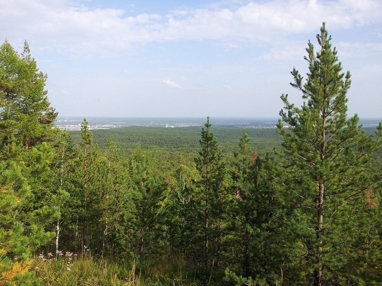 Синоптики рассказали свердловчанам, сколько продержится теплая погода