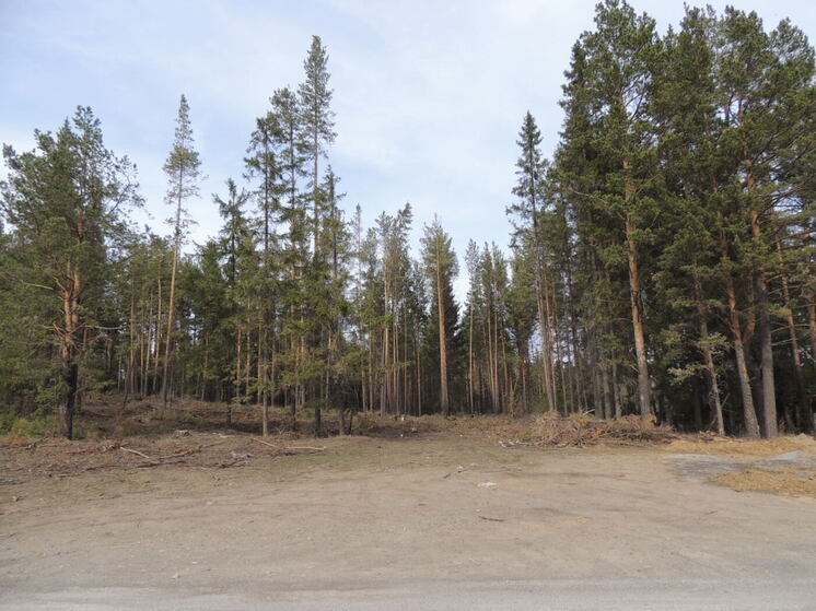 Жители курганского поселка пожаловались Бастрыкину на плохую дорогу