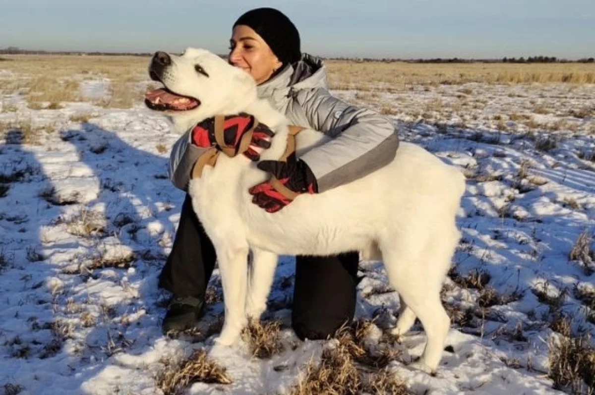 Апрельник в приюте Лаподаи зовёт друзей из Екатеринбурга и Логиново к добрым делам-0