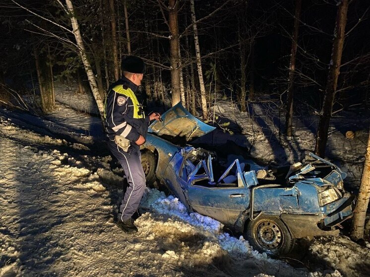 Возле Нижнего Тагила погиб водитель «Оды», влетев в дерево