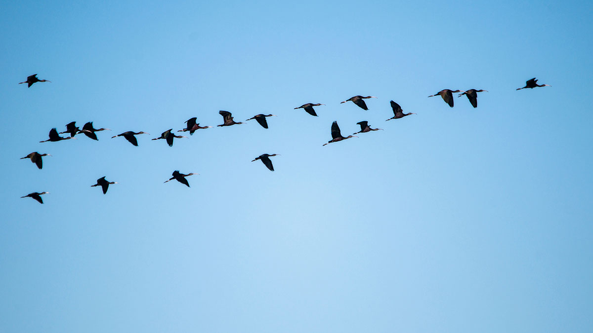 Народные приметы на 7 апреля