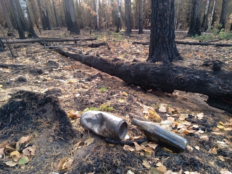 В Свердловской области начался пожароопасный сезон