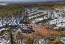 Денис Паслер вводит особый режим для защиты Свердловской области от пожаров denis pasler vvodit osobyj rezhim dlya zashhity sverdlovskoj oblasti ot pozharov-ekaterinburgu-ru-174504353200-0