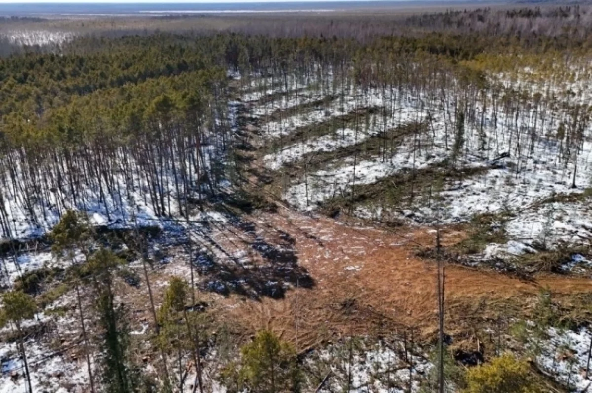 Денис Паслер вводит особый режим для защиты Свердловской области от пожаров-0