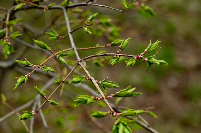 Фото: primamedia.ru