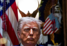 donald tramp i vladimir putin dogovorilis ob osvobozhdenii ksenii karelinoj-ekaterinburgu-ru-174431370500-0
