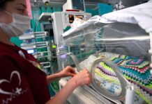 Глеб Никитин анонсировал масштабные выплаты семьям в Нижегородской области gleb nikitin anonsiroval masshtabnye vyplaty semyam v nizhegorodskoj oblasti-ekaterinburgu-ru-174534656700-0