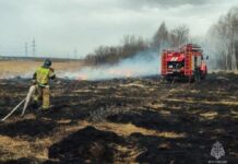 ГУ МЧС Зауралья сообщает о 195 пожарах в Курганской области и героях спасения gu mchs zauralya soobshhaet o 195 pozharah v kurganskoj oblasti i geroyah spaseniya-ekaterinburgu-ru-174597775500-0