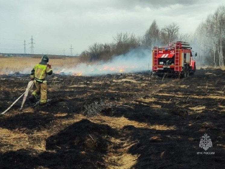 195 ландшафтных пожаров произошло в Курганской области