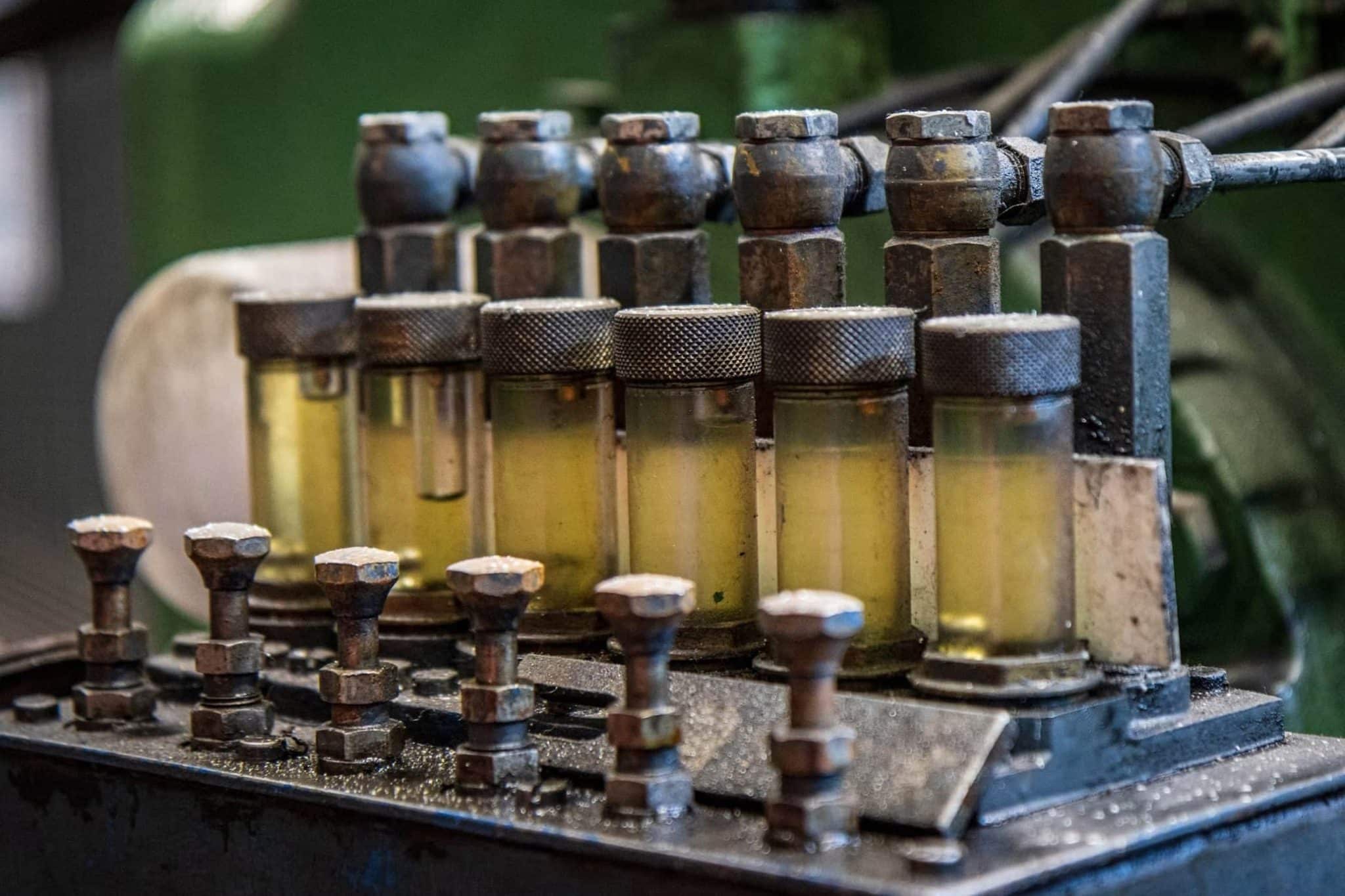 Ирина Пермякова и Yarrowia lipolytica - инновационные биосмазки от Пермского Политеха-0