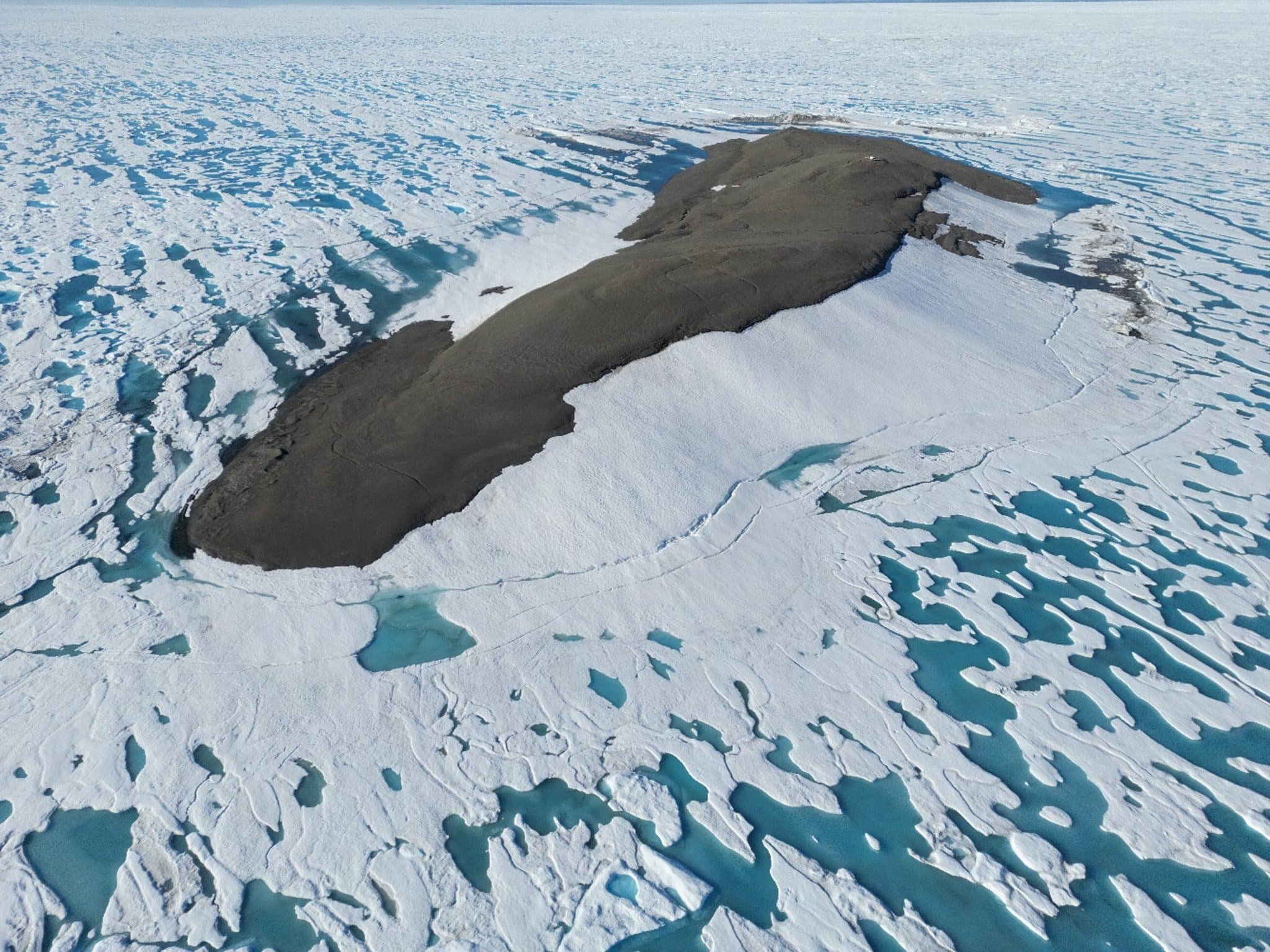 Каффеклуббен подтвержден как самая северная земля мира благодаря исследованиям Мортен Раш-0