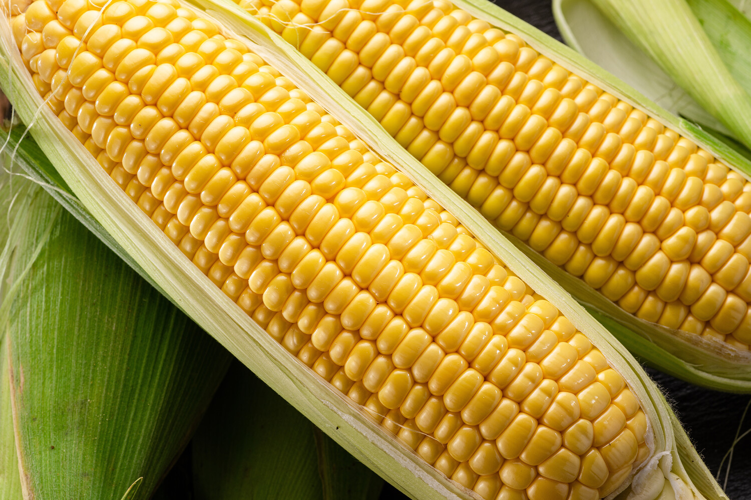 Кэти Чжун и Вашингтонский университет - кукуруза открывает путь к энергетике будущего-0