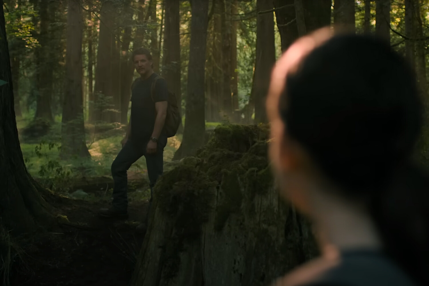 Кордицепс и изменение климата Роль грибов в современном мире глазами Джима Кронстада-0