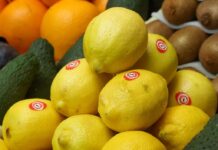 Михаил Беляев раскрыл оптимистичные прогнозы для России после решения Турции mihail belyaev raskryl optimistichnye prognozy dlya rossii posle resheniya turczii-ekaterinburgu-ru-174403265900-0