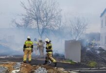 operativnye dejstviya spasatelej v berezovskom i poselke monetnyj sohranili zhizni pri pozharah-ekaterinburgu-ru-174360698500-0