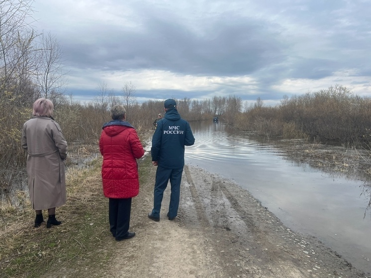 Школьники переведены на дистант из-за затопления дороги к курганской деревне