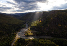 Плановое отступление в Новой Зеландии открывает будущее для природы и людей planovoe otstuplenie v novoj zelandii otkryvaet budushhee dlya prirody i lyudej-ekaterinburgu-ru-174457005700-0