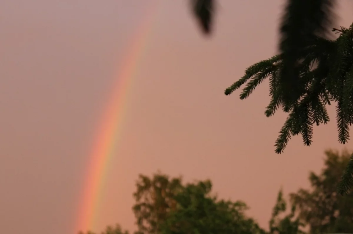 Прогноз Уралгидрометцентра обещает жителям Свердловской области тепло и солнце-0
