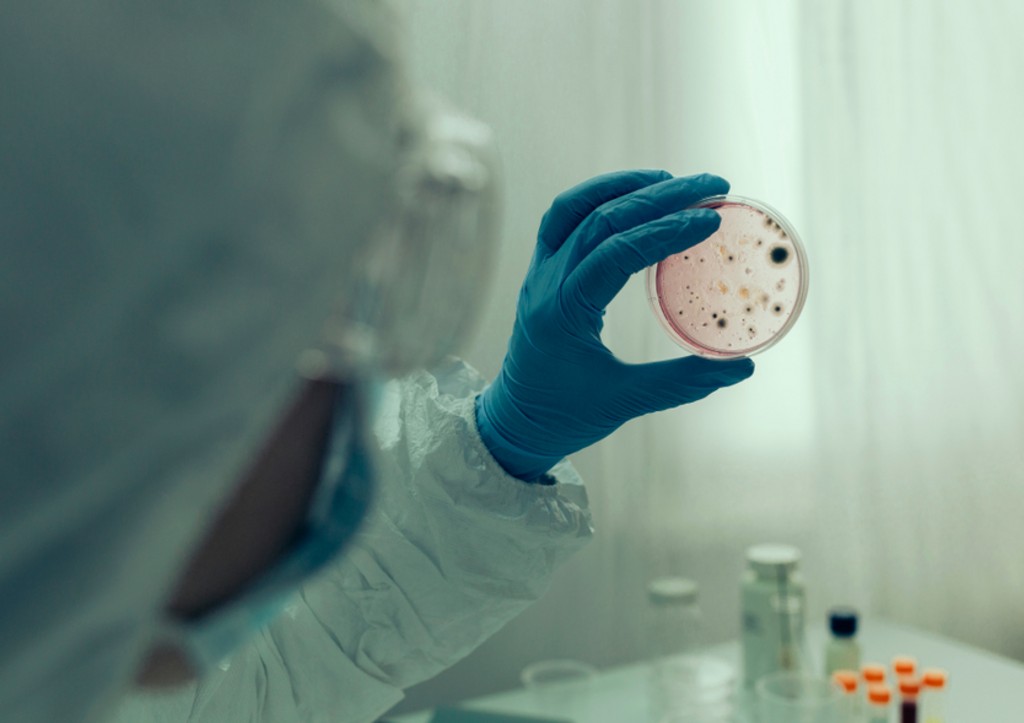 К Москве подбирается холера: кто распространитесь, уровень опасности