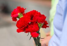 Россельхознадзор предотвратил ввоз цветов с трипсом из Китая в Приморье rosselhoznadzor predotvratil vvoz czvetov s tripsom iz kitaya v primore-ekaterinburgu-ru-174596339600-0