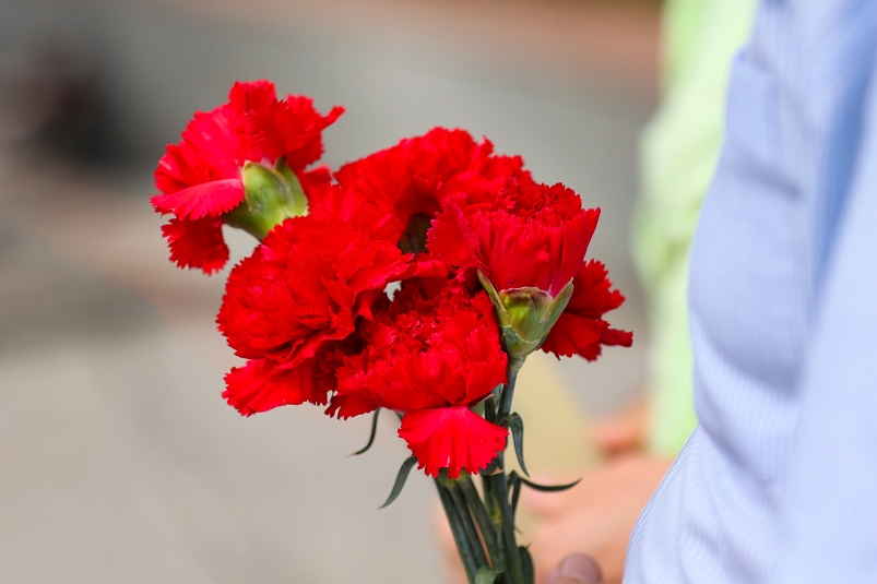 Фото: primamedia.ru