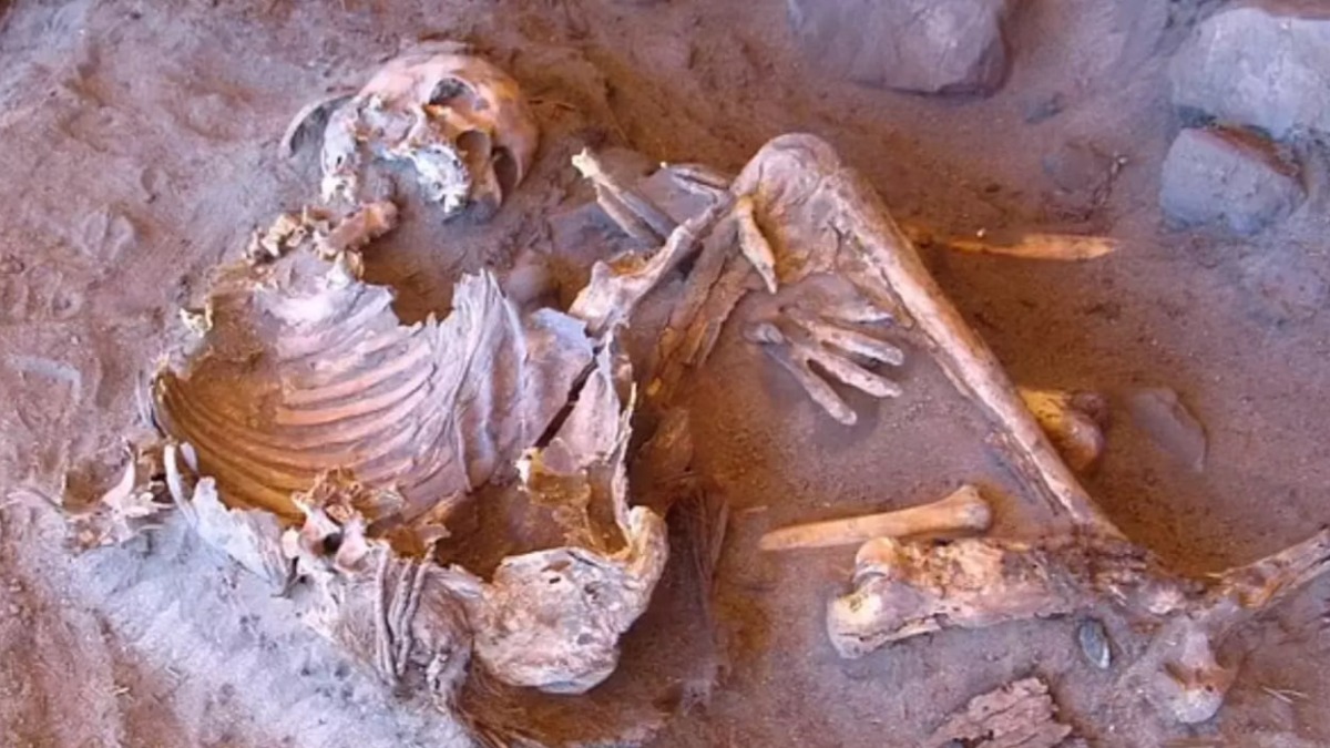 Загадочные мумии из Сахары перевернули представление о происхождении человека