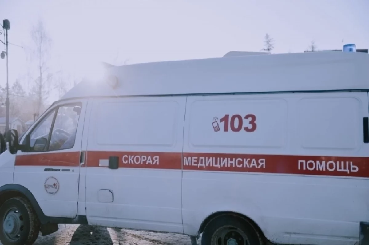 Сергей Зайцев из минздрава Свердловской области рассказывает о укусах змей-0