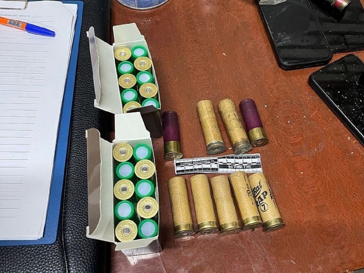 Троих жителей Далматовского округа задержали по подозрению в незаконной охоте