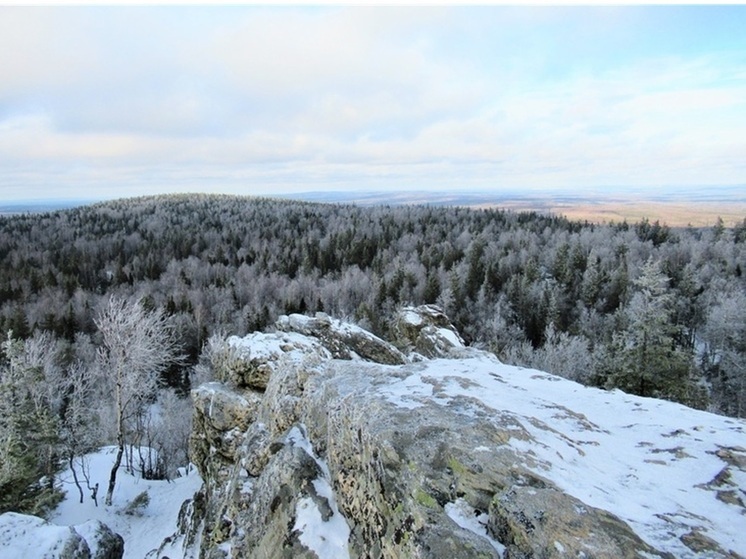 Заморозки до -5 градусов и мокрый снег ожидают в Свердловской области