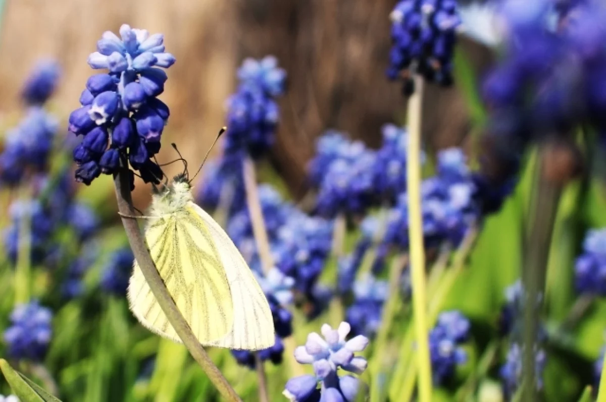 Свердловская область встречает Пасху солнечным теплом и весенним настроением-0