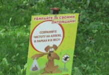 Свердловский департамент ветеринарии внедряет новые стандарты заботы о питомцах sverdlovskij departament veterinarii vnedryaet novye standarty zaboty o pitomczah-ekaterinburgu-ru-174521379800-0