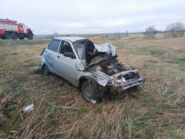 Получил травмы водитель ВАЗ, сбивший косулю в Курганской области