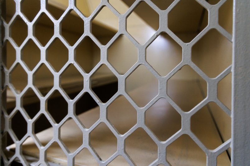 Фото: primamedia.ru