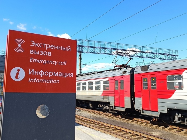 Стала известна личность убитой женщины, тело которой нашли в Екатеринбурге