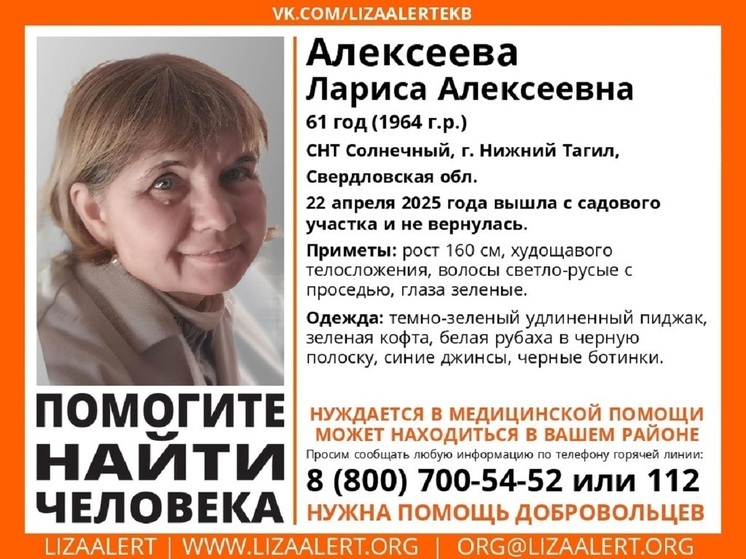 Возле коллективного сада в Нижнем Тагиле пропала 61-летняя женщина