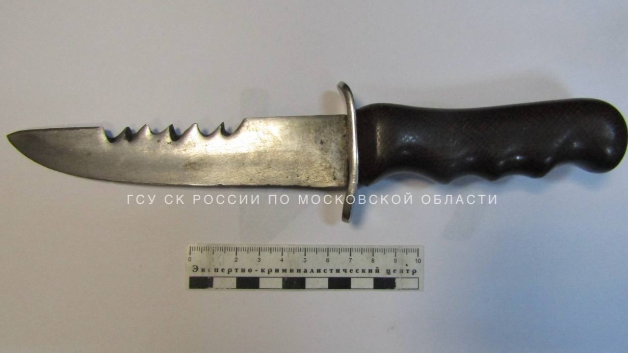 Силовики поймали мужчину, напавшего с ножом на полицейского в Подмосковье