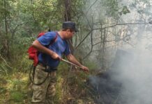 Валерий Земляных объявил о готовности Курганской области к противопожарному сезону valerij zemlyanyh obyavil o gotovnosti kurganskoj oblasti k protivopozharnomu sezonu-ekaterinburgu-ru-174348695700-0