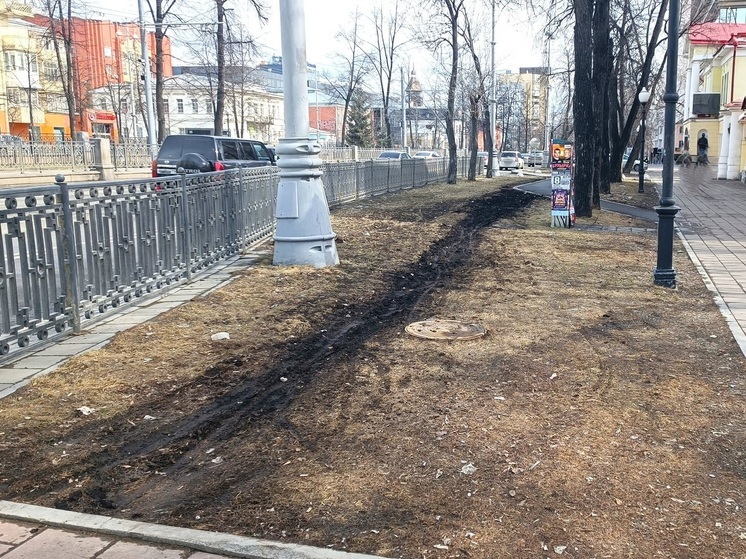 Велосипедисты продолжают портить газон на проспекте Ленина в Екатеринбурге