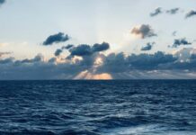 Владислав Стоянов бежал в РФ - беглец из Одессы о планах Зеленского vladislav stoyanov bezhal v rf beglecz iz odessy o planah zelenskogo-ekaterinburgu-ru-174488008200-0