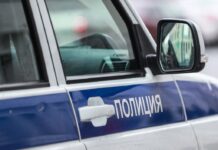 Житель Абакана вырастил 25 килограммов конопли в Красноярском крае zhitel abakana vyrastil 25 kilogrammov konopli v krasnoyarskom krae-ekaterinburgu-ru-174556058400-0