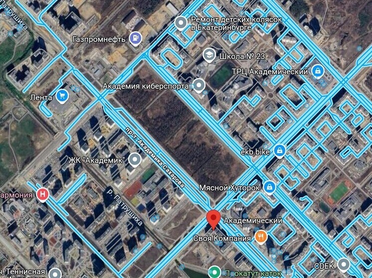 Группа жителей «Академического» намерена защищать «прямоугольный лес»