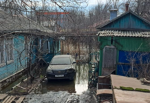 Жители Ростова просят Владимира Путина сохранить Левобережную рощу от застройки zhiteli rostova prosyat vladimira putina sohranit levoberezhnuyu roshhu ot zastrojki-ekaterinburgu-ru-174426624500-0