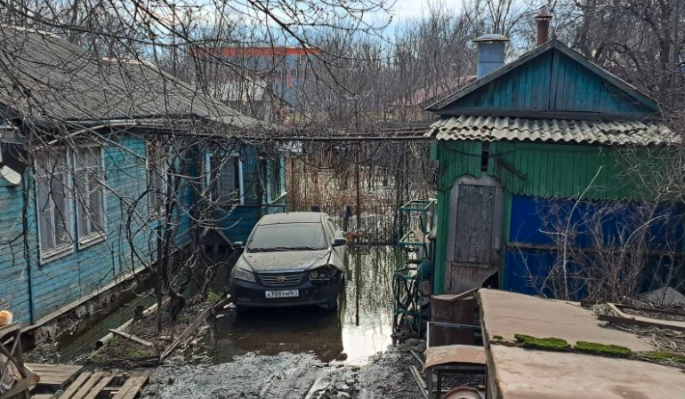 Ростовчане обратились к Путину с просьбой помочь остановить уничтожение Левобережной рощи