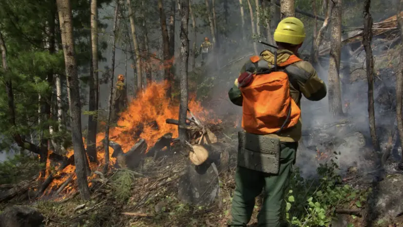 В Тюменской области противопожарный режим продлили до 5 июня