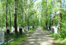 anastasiya rasskazyvaet o borbe za zhizn malysha s pnevmoniej v nizhnih sergah-ekaterinburgu-ru-174704696700-0