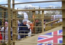 artem zhoga predstavil rekordy vystavki trofejnoj tehniki nato v czpkio ekaterinburga-ekaterinburgu-ru-174688388000-0